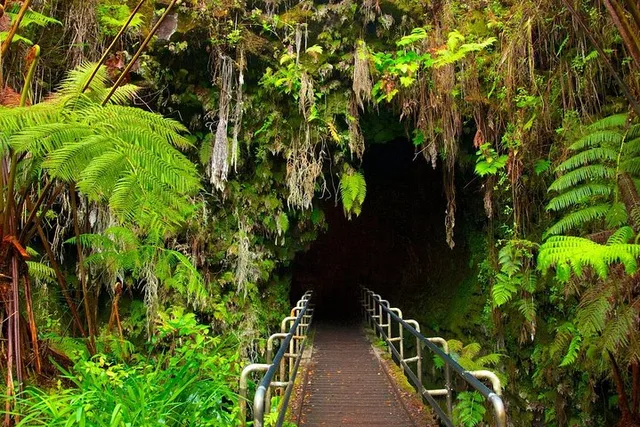 Hilo Volcano Island Tour - Image 5