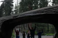 Los Angeles Sequoia and Kings Canyon Private Day Tour thumbnail 4