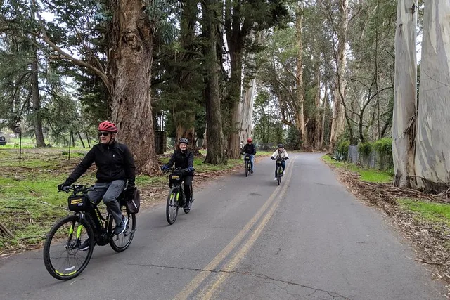 Sonoma Valley Pedal Assist Bike Tour with Lunch - Image 5