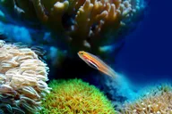 Miami to Key West Day Trip thumbnail 6