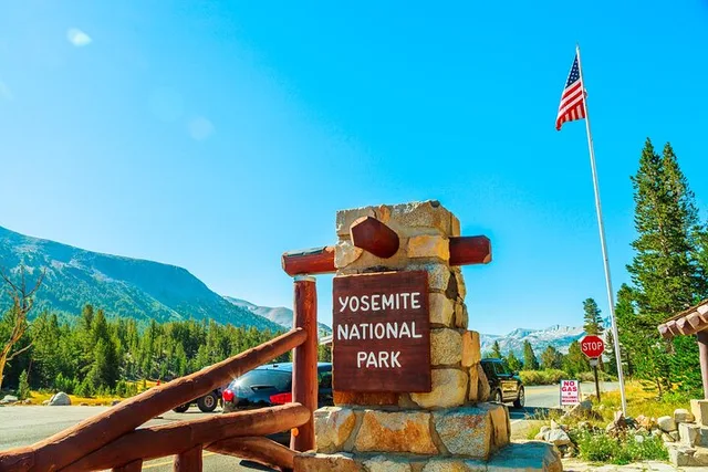 Yosemite Private Tour - Image 6