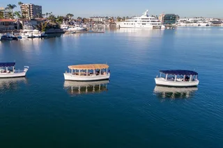 Newport Harbor Boat Tour