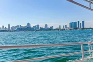 Miami Water Taxi Tour thumbnail 5