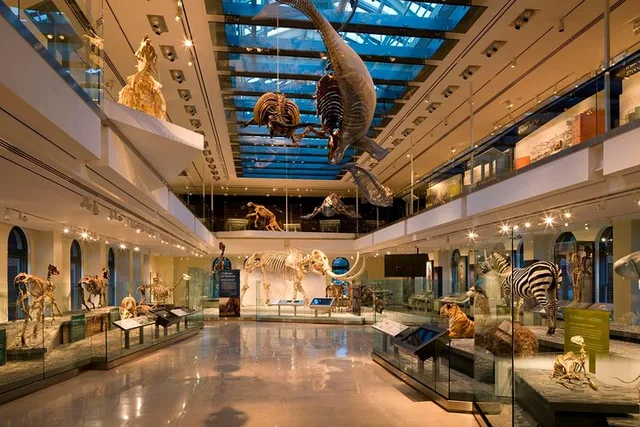 Los Angeles Natural History Museum Admission - Image 1