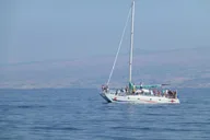 Waikoloa Whale Watching Cruise thumbnail 5