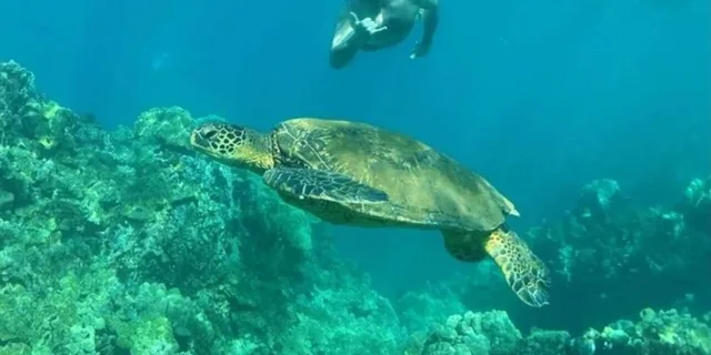 Makena Clear Bottom Kayak and Snorkel Tour - Image 4
