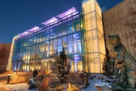 Denver Museum of Nature and Science Entry Ticket thumbnail 5