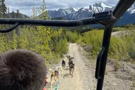 Skagway Dog Mushing and Yukon Experience thumbnail 3