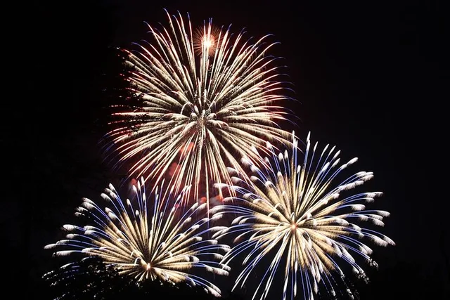 Miami Catamaran Fireworks Tour on July 4th - Image 2