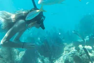 Key West Reef Snorkel and Sunset Sail thumbnail 1