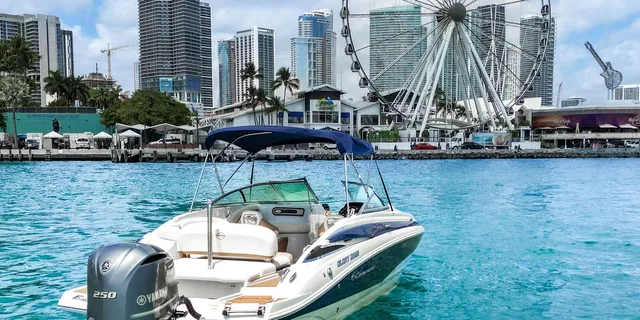 Miami Celebrity Mansions & Private Island Charter - Image 1
