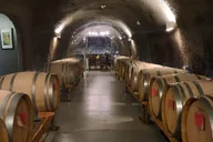 Dundee Private Wine Tour 9.5 hr thumbnail 4