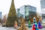 Washington DC Holiday Walking Tour with Hot Cocoa thumbnail 5