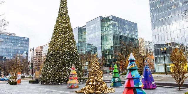 Washington DC Holiday Walking Tour with Hot Cocoa - Image 5