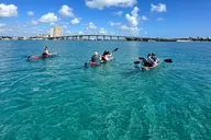 Peanut Island Glass-Bottom Kayak & Snorkel Adventure thumbnail 5