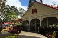 Oahu North Shore Small Group Tour thumbnail 5