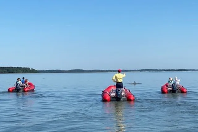 Hilton Head Mini Boat Tour to Disappearing Island - Image 1