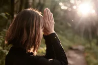 Asheville Forest Bathing & Nature Therapy 3 hr thumbnail 1