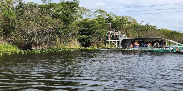 Miami Everglades Airboat Tour with Gator Encounter - Image 4