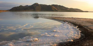 Salt Lake City Great Salt Lake Guided Tour