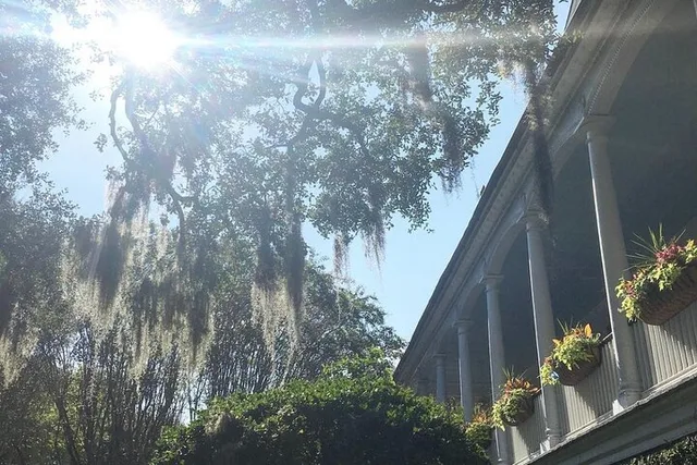 Charleston Food Walking Tour - Image 3
