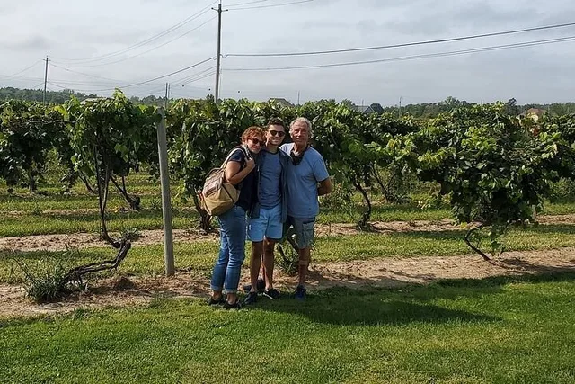 Niagara Wine Tour - Image 1