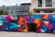 Miami Wynwood Walls Tour 1 hr thumbnail 1