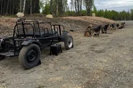 Anchorage Dog Sledding Experience thumbnail 4