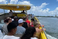 Orlando Clearwater Beach Dolphin Cruise Day Trip thumbnail 5