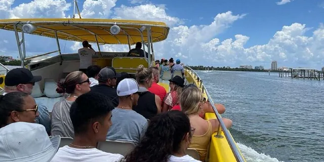 Orlando Clearwater Beach Dolphin Cruise Day Trip - Image 5