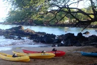 Maui Kayak and Snorkel Tour thumbnail 5