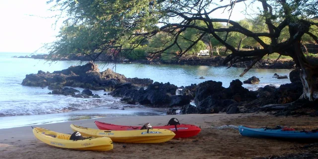 Maui Kayak and Snorkel Tour - Image 5