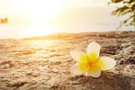 Hawaiian Cultural Retreat Day thumbnail 1