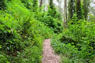 San Francisco Urban Hike: Castro and Twin Peaks thumbnail 6