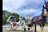 New York Central Park Carriage Ride thumbnail 1