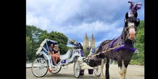 New York Central Park Carriage Ride