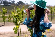 Paso Robles 3-Winery Tour with Lunch thumbnail 6