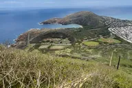 Oahu KokoHead Crater Hike with Private Transportation thumbnail 2