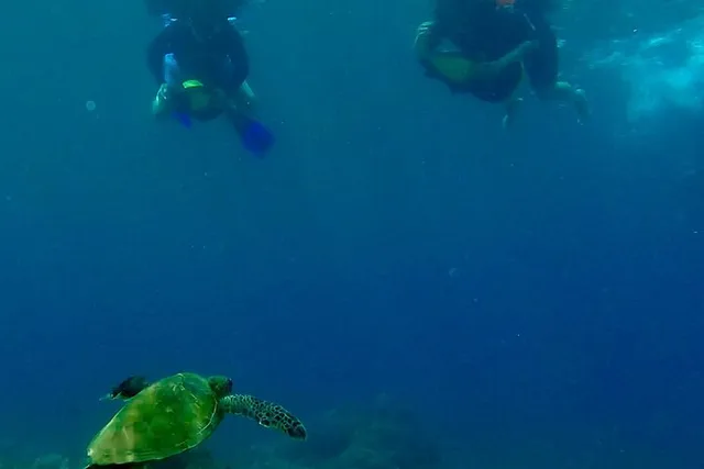 Kaanapali Sea Scooter Snorkeling Tour to Lanai - Image 6