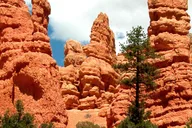 Las Vegas Bryce Canyon and Zion National Park Tour thumbnail 2