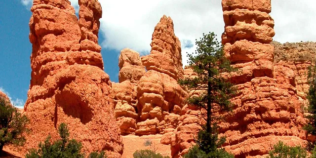 Las Vegas Bryce Canyon and Zion National Park Tour - Image 2