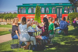 Livermore Valley Wine Tour 4 hr