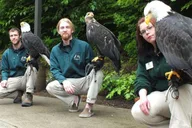 Sitka Alaska Raptor Center Admission thumbnail 2