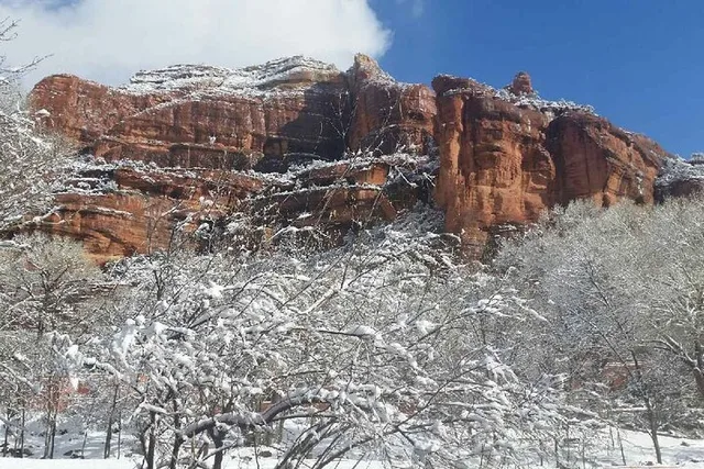 Sedona Scenic Tour - Image 3