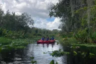 Orlando Manatee Kayak Encounter thumbnail 3