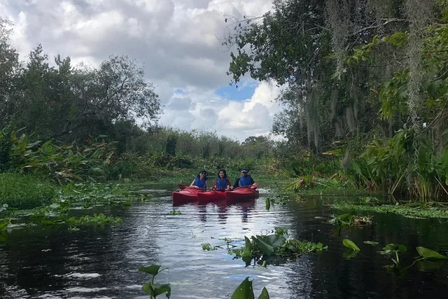 Orlando Manatee Kayak Encounter - Image 3