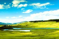 Bozeman Yellowstone Upper Loop Day Tour thumbnail 4