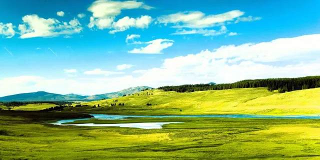 Bozeman Yellowstone Upper Loop Day Tour - Image 4