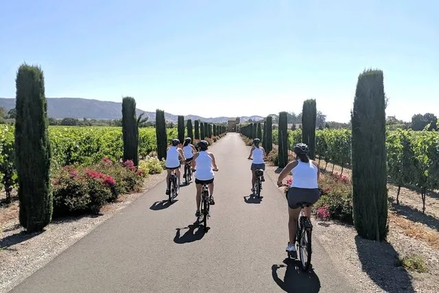 Sonoma Bike Tour with Winery Visit 4 hr - Image 6