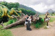 Waikiki to Kualoa Ranch Private Transfer thumbnail 2